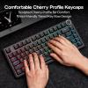 imageEPOMAKER Glintrix PBT Shine Through Keycaps Arris ampamp Keys Backlit Double Shot Cherry Profile 607596Full Size Custom Keyboard Keycaps Set for Mechanical Gaming Keyboard WhiteBlack