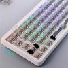 imageEPOMAKER LEOBOG Graywood V3 Switch Set Linear Cearmy Switch 40gf 3 Pins Prelubed 100 Pieces for Customizing Mechanical Keyboards