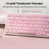 imageEPOMAKER Lusterfly Jelly Keycaps Set  123 Keys DoubleShot Laser Engraved MDA Profile ABSPC NonShineThrough MXCompatible for 6168848798100104Key Mechanical Keyboard PinkPink