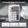 imageEPOMAKER EK21 VIA Gasket Number Pad with 1000mAh Battery BT 5024GHzWired HotSwap Numpad with Aluminum Alloy knob Programmable for WinMacGaming Retro White Wisteria V2 SwitchRetro White