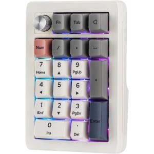 imageEPOMAKER EK21 VIA Gasket Number Pad with 1000mAh Battery BT 5024GHzWired HotSwap Numpad with Aluminum Alloy knob Programmable for WinMacGaming Retro White Wisteria V2 SwitchRetro White