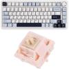 imageEPOMAKER EA75 75 RGB Gaming Mechanical KeyboardNude Rosa 40gf Silent Gaming Keyboard Switches