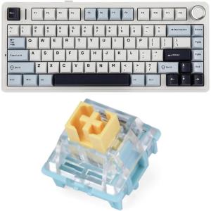 imageEPOMAKER x Aula F75 Gasket Mechanical Keyboard with FiveLayer PaddingampKnob  Sea Salt Silent Mechanical Keyboard Switches Set