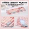 imageEPOMAKER Aula S102 PRO Membrane Gaming Keyboard with TFT Screen Volume Knob amp Number Pad BT24GUSB RGB Backlit Creamy Silicone Structure Silent Keyboard for PC GameOffice GreyPink