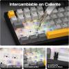 imageEPOMAKER Ajazz AK820 PRO ISOES Teclado Mecnico Inalmbrico con Pantalla amp Perilla 24GBTUSB RGB Software Personalizado Teclado Gaming de 75 Distribucin Espaola para PCMac BlackBlack
