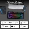 imageEPOMAKER x Aula F75 Ultra Wireless Gaming Keyboard with Knob 10000mAh Hot Swap RGB PBT Keycap Creamy Sound VIA 75 Mechanical Keyboard for WinMac Blue Pink MintBlack