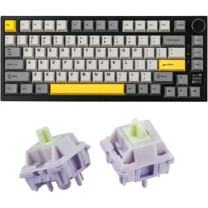 imageEPOMAKER Ajazz AK820 Pro 75 Mechanical Gaming Keyboard GasketMounted with TFT Smart Display amp Knob  Wisteria 39gf Linear Switches