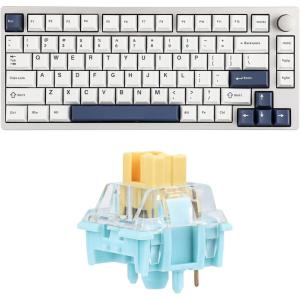 imageEPOMAKER P75 75 Wireless Aluminum Mechanical Keyboard with Metal Knob35 Pieces Sea Salt Silent Mechanical Keyboard Switches Set