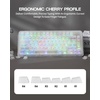 image:imageEPOMAKER Frost Jelly Keycaps Set  126 Keys Forged Carbon Fiber Keycaps Cherry Profile ABSPC MXStyle Compatible for 6168848798100104108 ANSI Layout Mechanical Gaming Keyboards BlueWhite