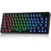 image:imageEPOMAKER HE75 V2 Hall Effect Gaming Keyboard 8K Polling amp 01ms 8000mAh amp 24GhzBT Hot Swap Key amp Knob 0005mm Adjustable Actuation Rapid Triggering Creamy amp Thocky BlackBlack