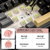image:imageEPOMAKER X Aula EA75 MAX Wireless Gaming Keyboard with Screen amp KnobPuff Aviator Coiled USB Cable